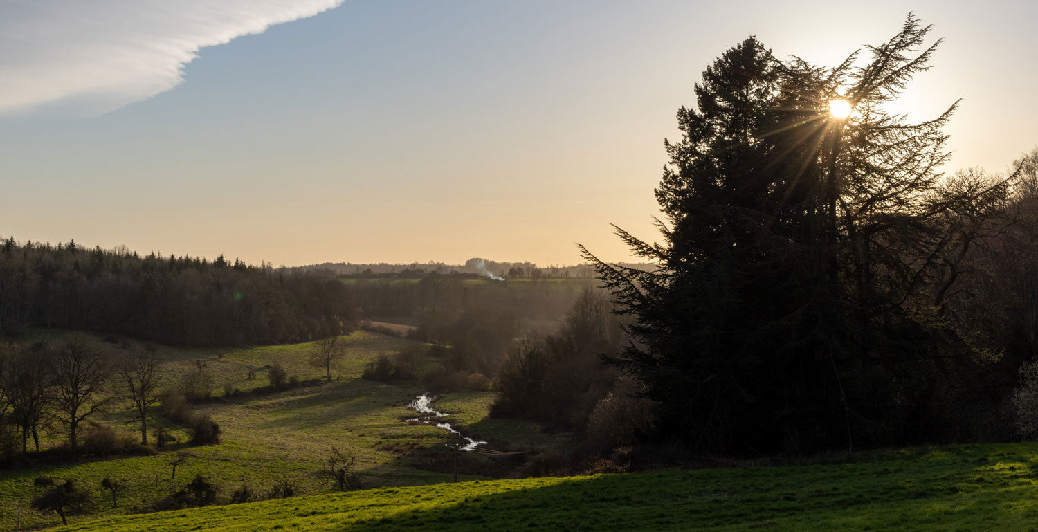 Dans l’Orne, 180 hectares rendus au vivant : l’étonnant laboratoire du Domaine du Costil