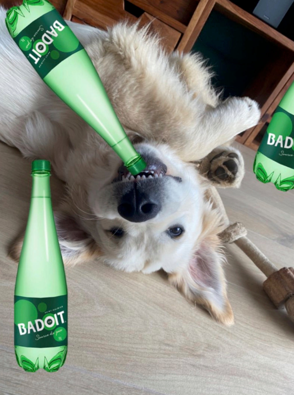 San Pellegrino, une faute de frappe et un chien : le raté de packaging qui nous fait rire