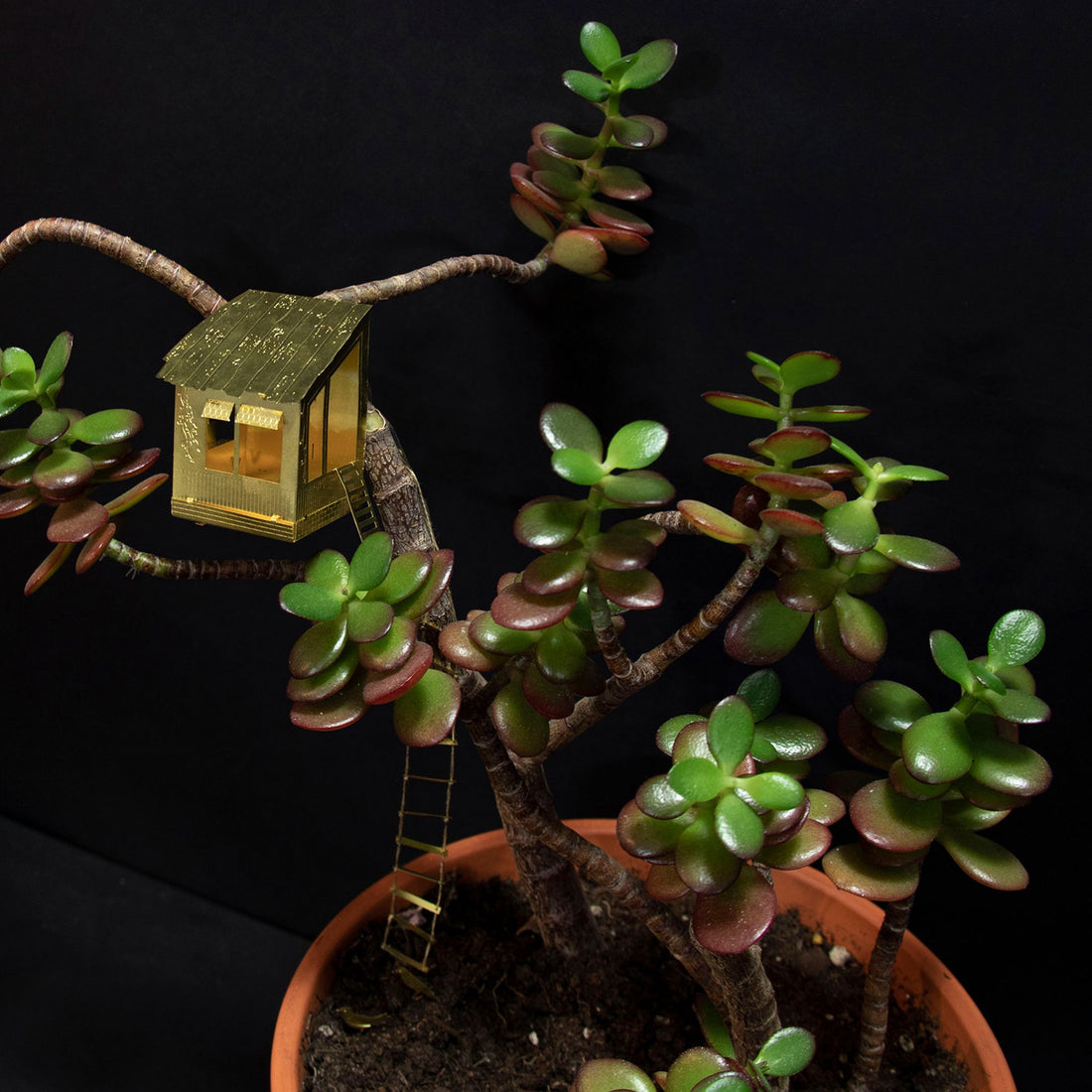Petite cabane pour plantes - MintyWendy
