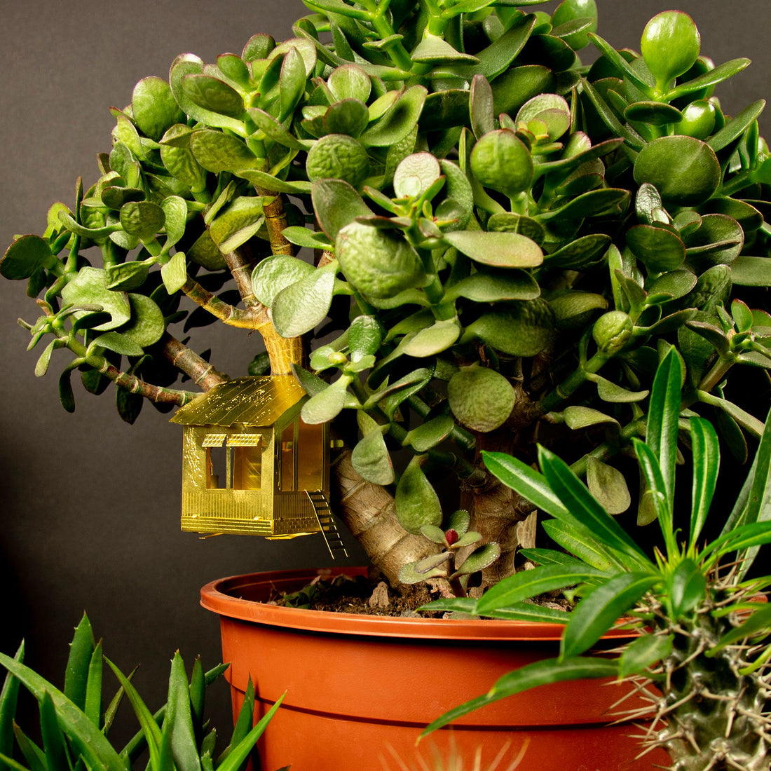 Petite cabane pour plantes - MintyWendy