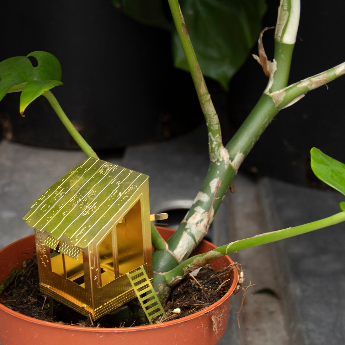 Petite cabane pour plantes - MintyWendy