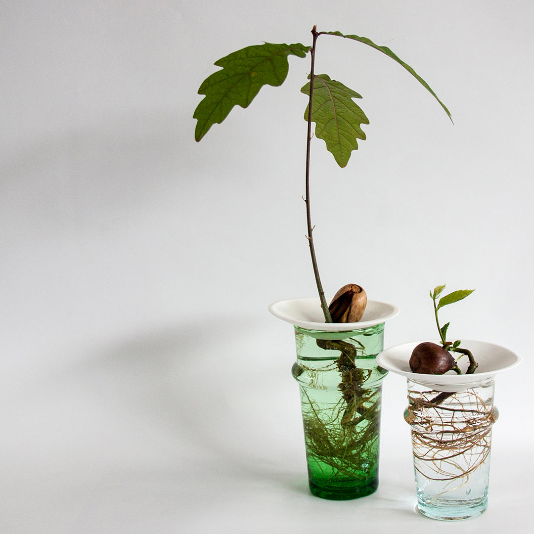 Coupelle de Porcelaine - Regarder les graines pousser sous vos yeux - MintyWendy Default Title