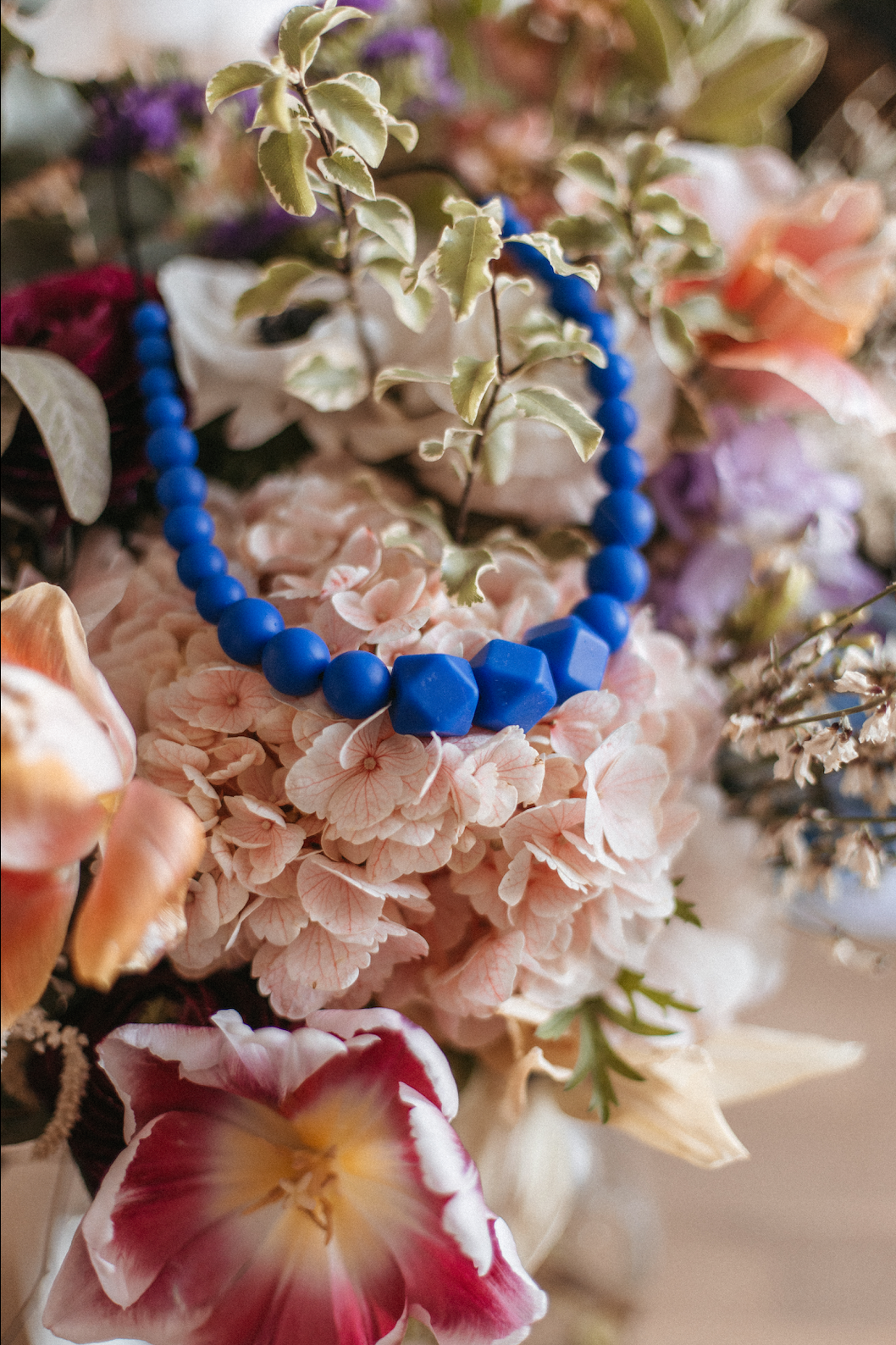 Royal Louis | Collier de portage, d'allaitement et de dentition - MintyWendy