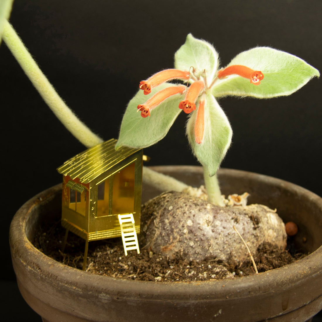 Petite cabane pour plantes - MintyWendy